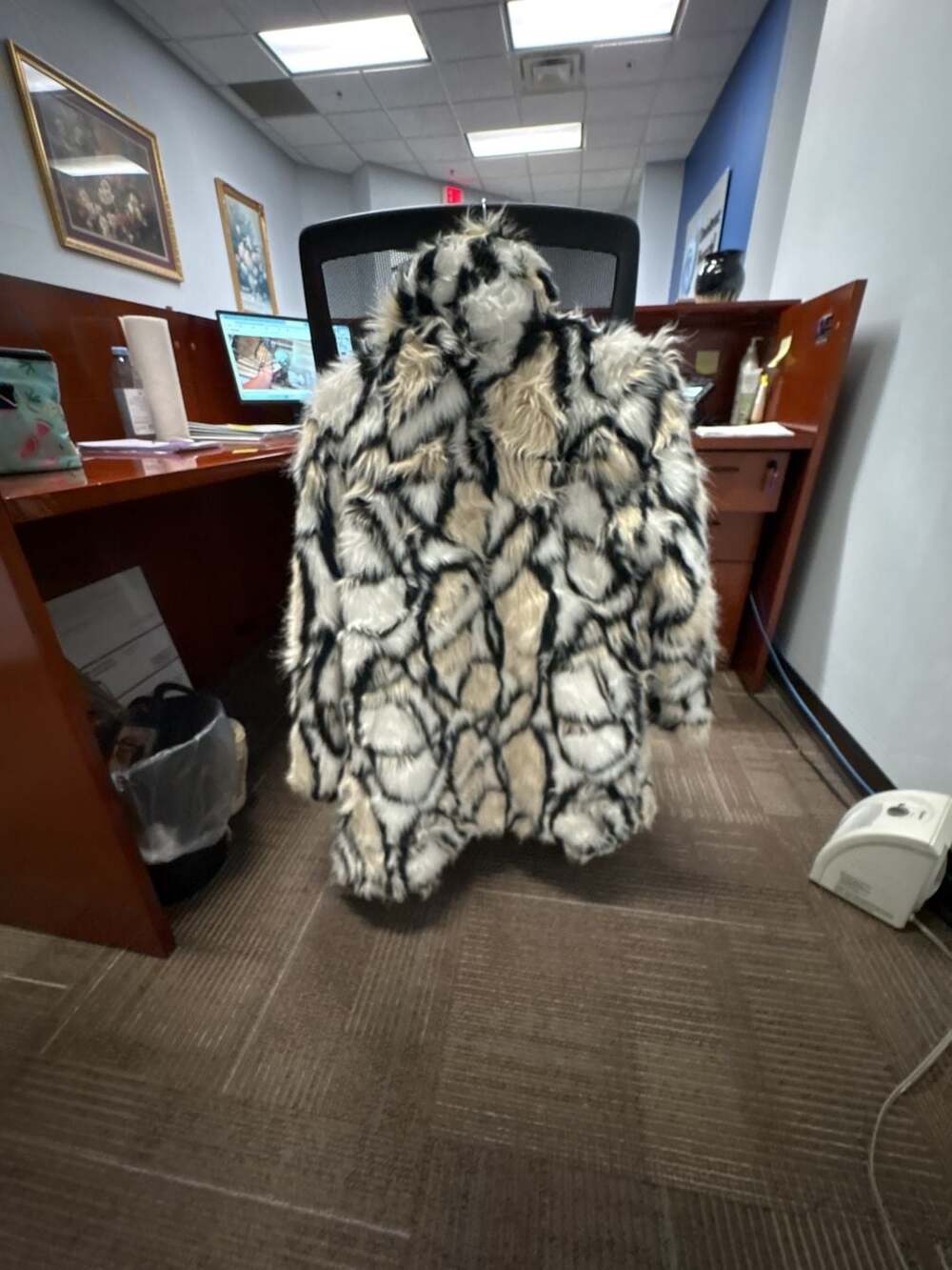Fashion Nova White And Black Faux Fur Coat Size M - Picture 4 of 4